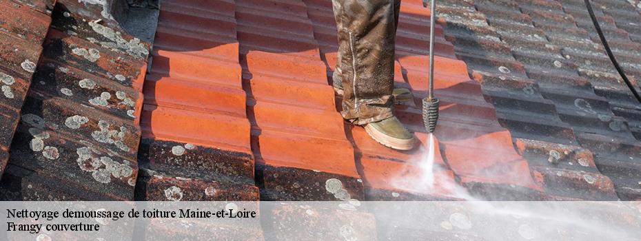 Nettoyage demoussage de toiture 49 Maine-et-Loire  Frangy couverture
