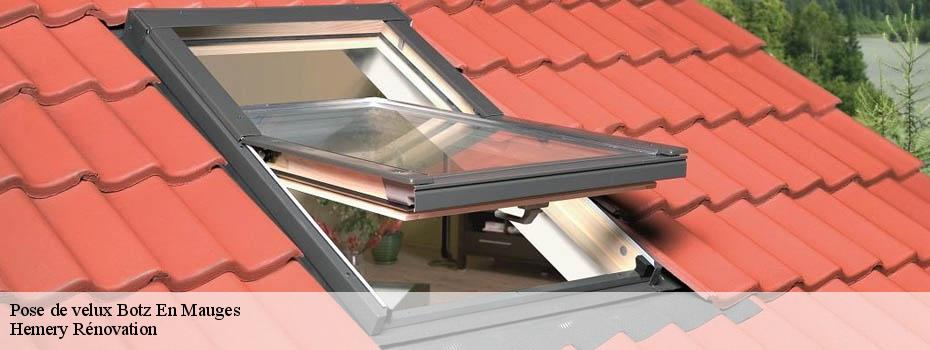 Pose de velux  botz-en-mauges-49110 Hemery Rénovation 