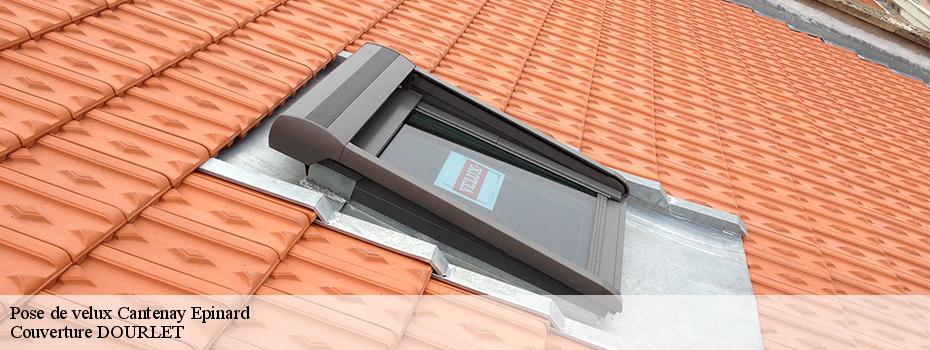 Pose de velux  cantenay-epinard-49460 Couverture DOURLET 