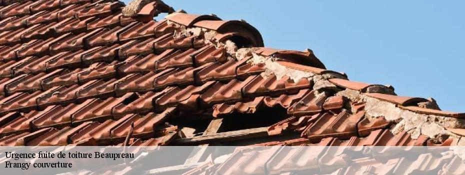 Urgence fuite de toiture  beaupreau-49600 Frangy couverture