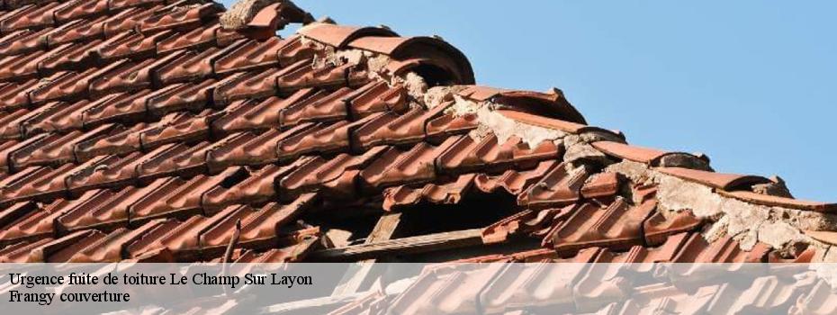 Urgence fuite de toiture  le-champ-sur-layon-49380 Frangy couverture