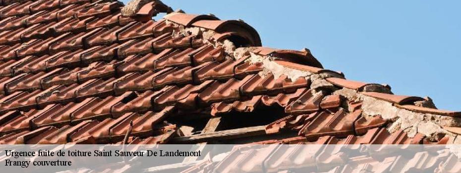 Urgence fuite de toiture  saint-sauveur-de-landemont-49270 Frangy couverture