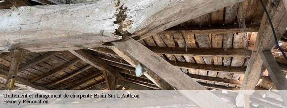 Traitement et changement de charpente  brain-sur-l-authion-49800 Hemery Rénovation 