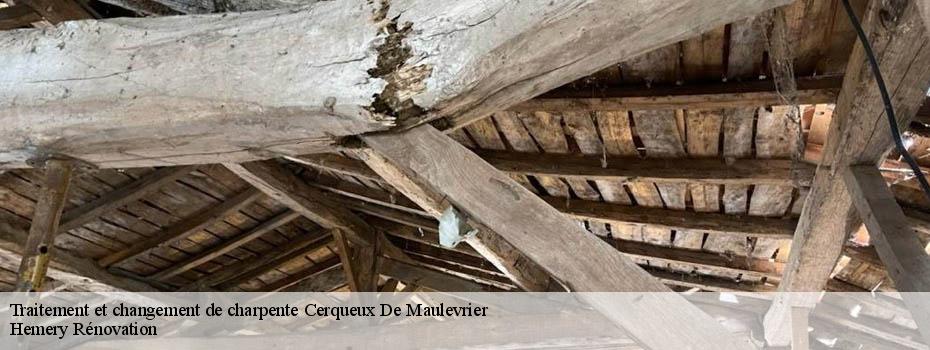 Traitement et changement de charpente  cerqueux-de-maulevrier-49360 Hemery Rénovation 