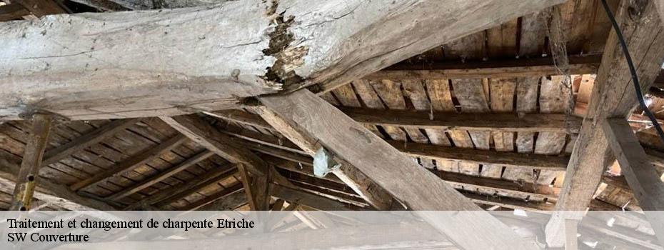 Traitement et changement de charpente etriche-49330 SW Couverture