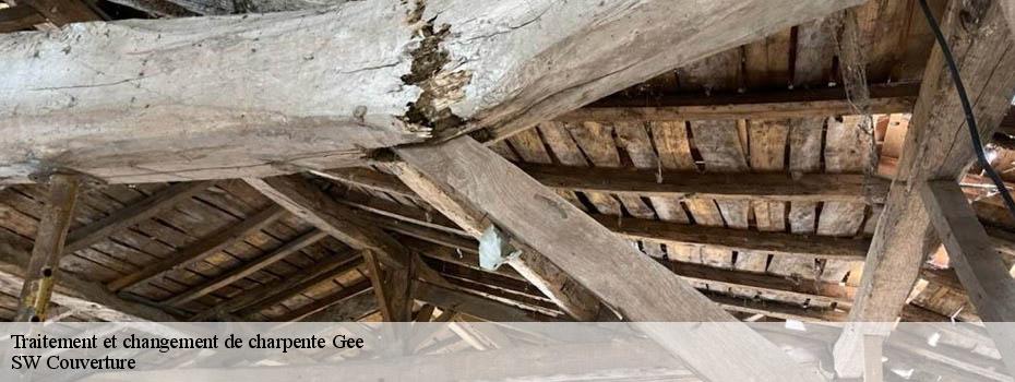 Traitement et changement de charpente gee-49250 SW Couverture