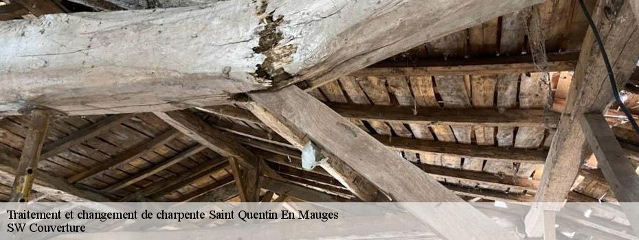 Traitement et changement de charpente saint-quentin-en-mauges-49110 SW Couverture