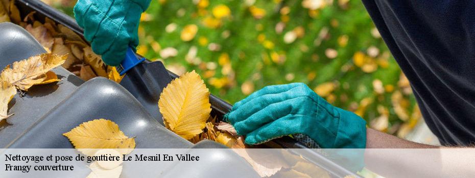 Nettoyage et pose de gouttière  le-mesnil-en-vallee-49410 Frangy couverture