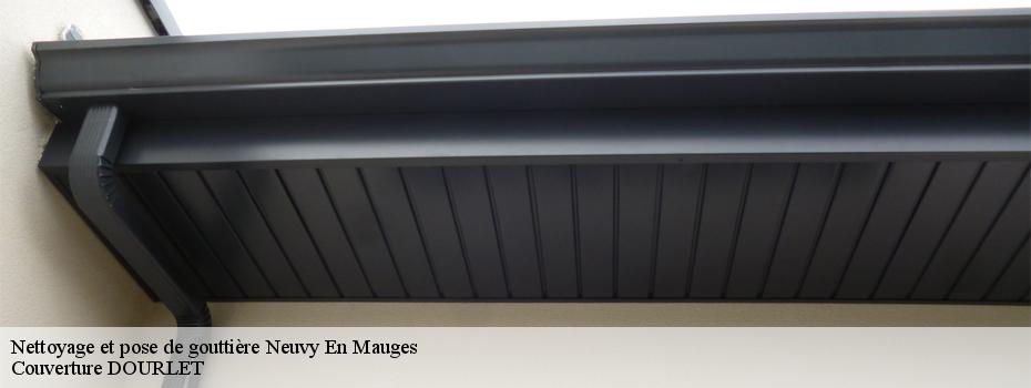 Nettoyage et pose de gouttière  neuvy-en-mauges-49120 Couverture DOURLET 