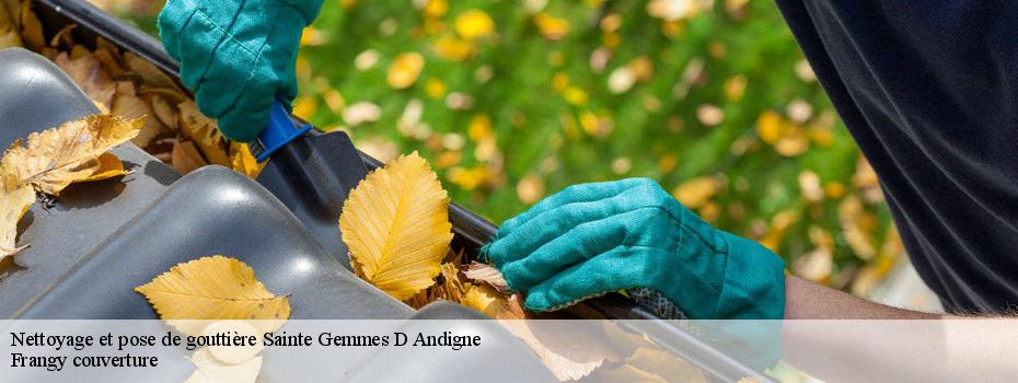 Nettoyage et pose de gouttière  sainte-gemmes-d-andigne-49500 Frangy couverture