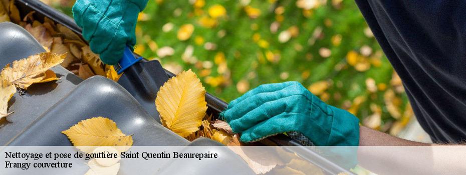 Nettoyage et pose de gouttière  saint-quentin-beaurepaire-49150 Frangy couverture