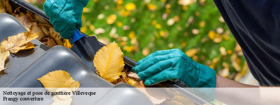 Nettoyage et pose de gouttière  villeveque-49140 Frangy couverture