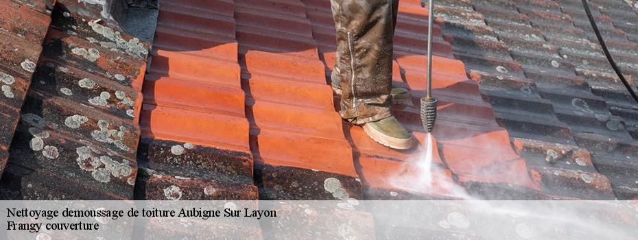 Nettoyage demoussage de toiture  aubigne-sur-layon-49540 Frangy couverture