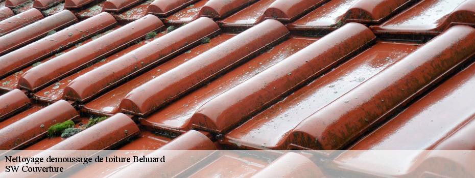 Nettoyage demoussage de toiture  behuard-49170 SW Couverture 