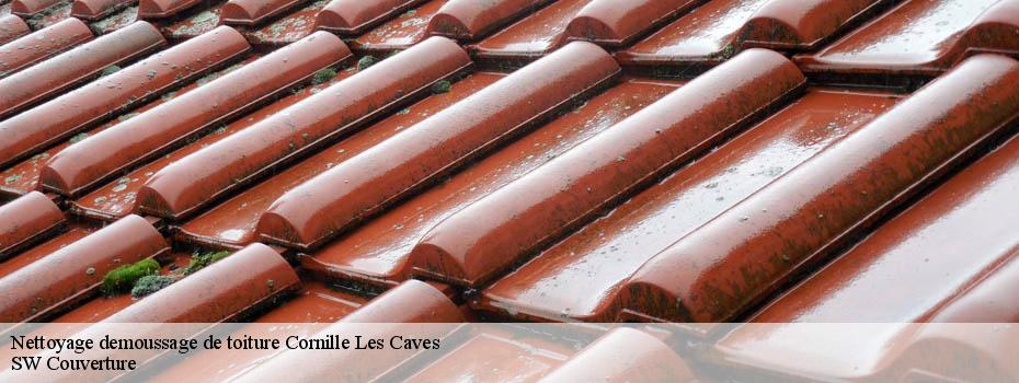 Nettoyage demoussage de toiture  cornille-les-caves-49140 SW Couverture 