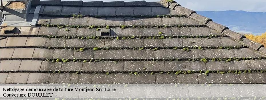 Nettoyage demoussage de toiture montjean-sur-loire-49570 Couverture DOURLET