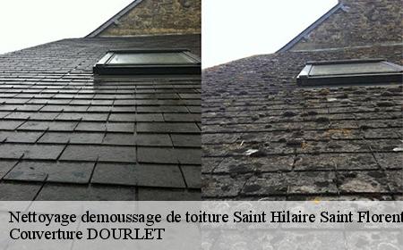 Entreprise nettoyage demoussage de toiture Saint Hilaire ...