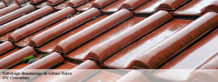 Nettoyage demoussage de toiture tierce-49125 SW Couverture