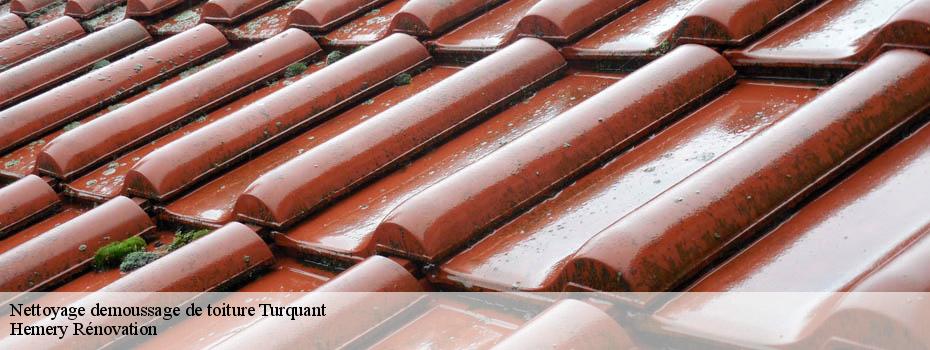 Nettoyage demoussage de toiture  turquant-49730 Hemery Rénovation 